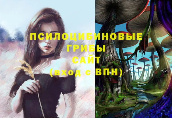 a pvp Абаза