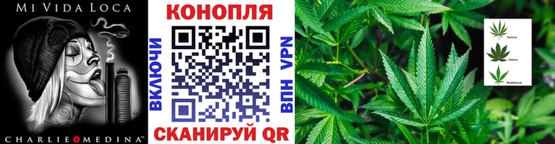 кракен вход  Адыгейск  Канабис сатива 